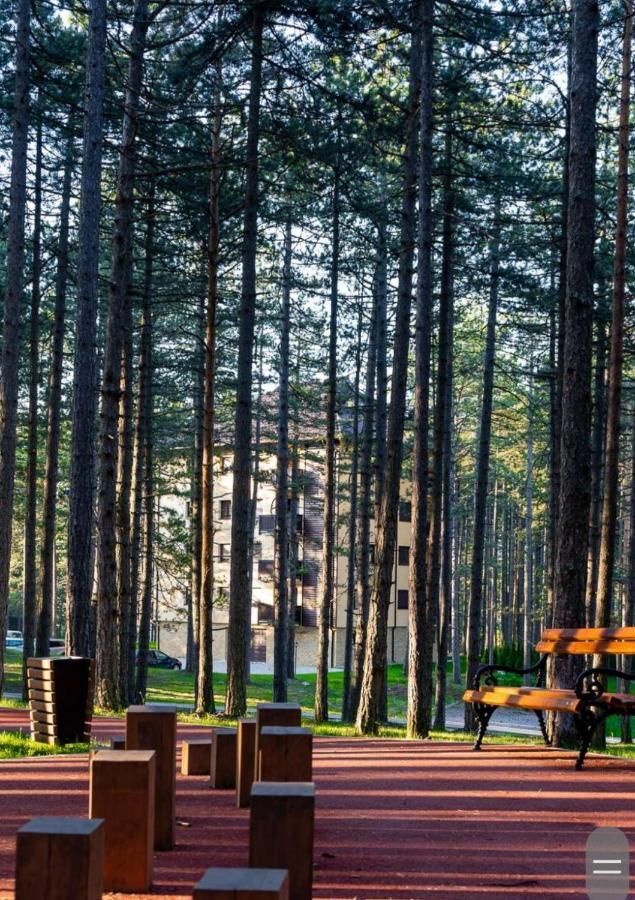 Apartman Pavle Zlatibor Exteriör bild