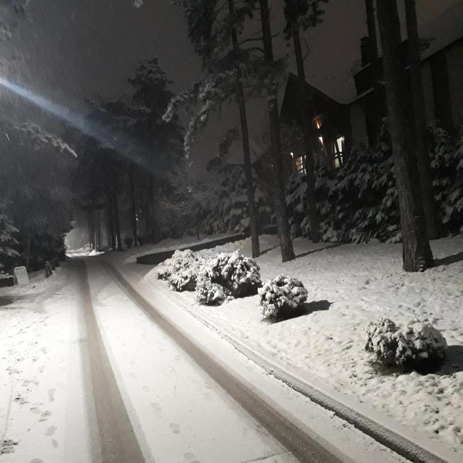 Apartman Pavle Zlatibor Exteriör bild