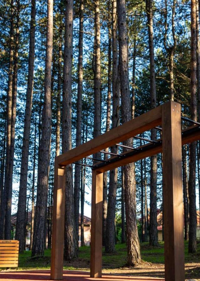 Apartman Pavle Zlatibor Exteriör bild