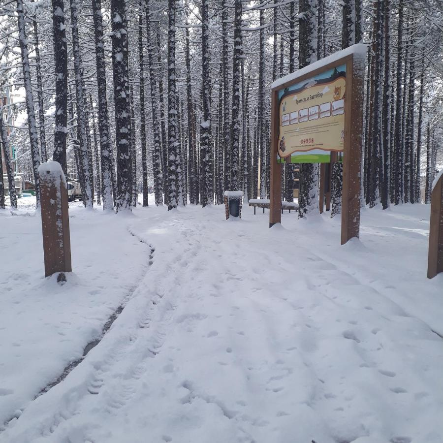 Apartman Pavle Zlatibor Exteriör bild