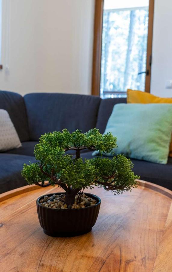 Apartman Pavle Zlatibor Exteriör bild