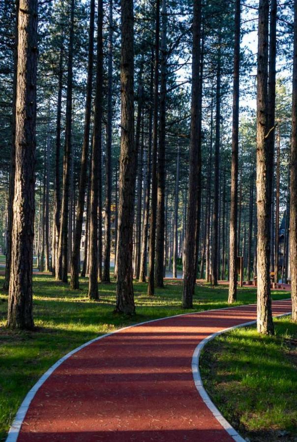 Apartman Pavle Zlatibor Exteriör bild