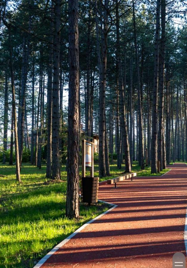 Apartman Pavle Zlatibor Exteriör bild