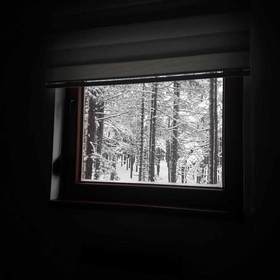 Apartman Pavle Zlatibor Exteriör bild